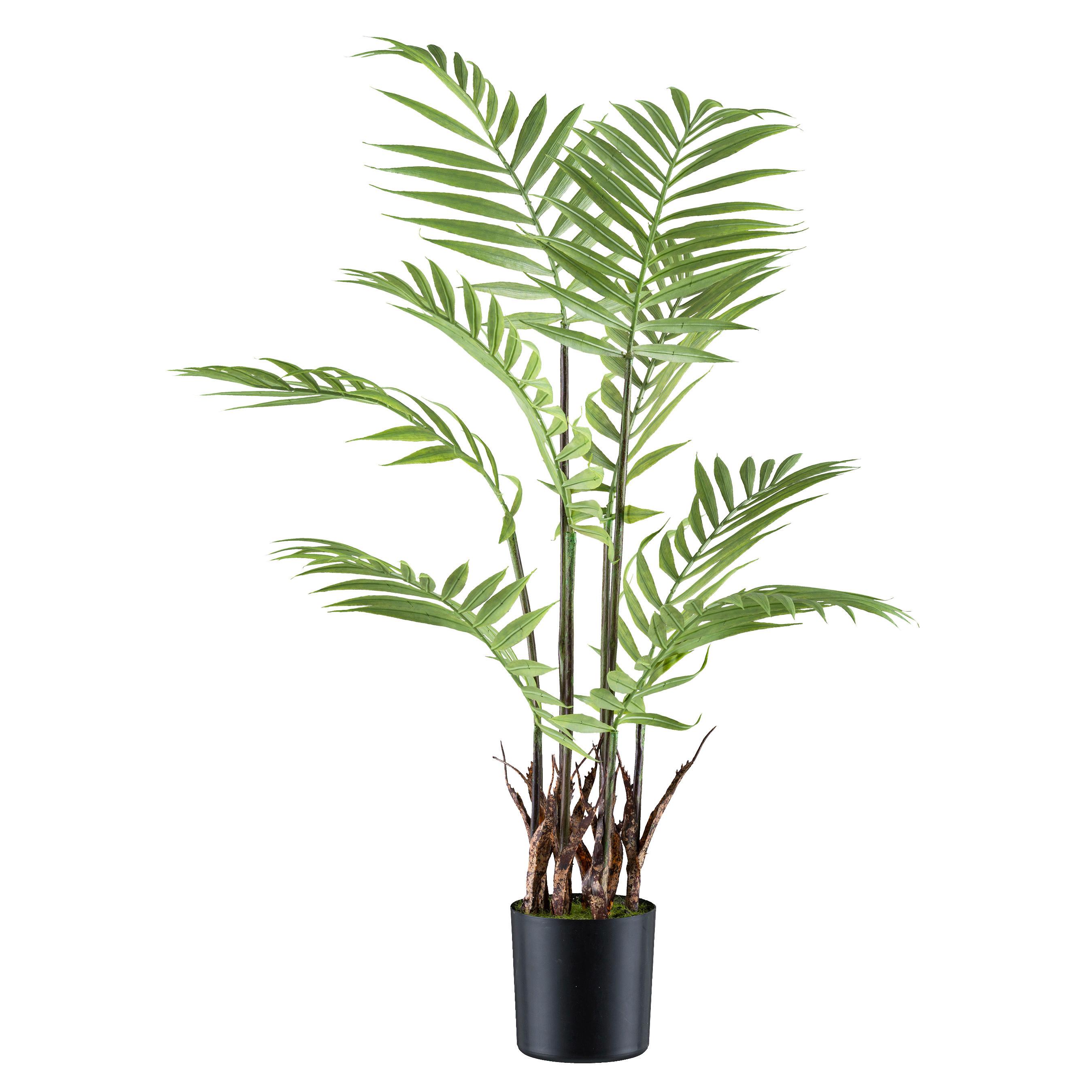 Kunstpflanze Palmen Grün/Braun/Schwarz, 70 cm - Schwarz/Braun, Design, Kunststoff (70cm) - P & B