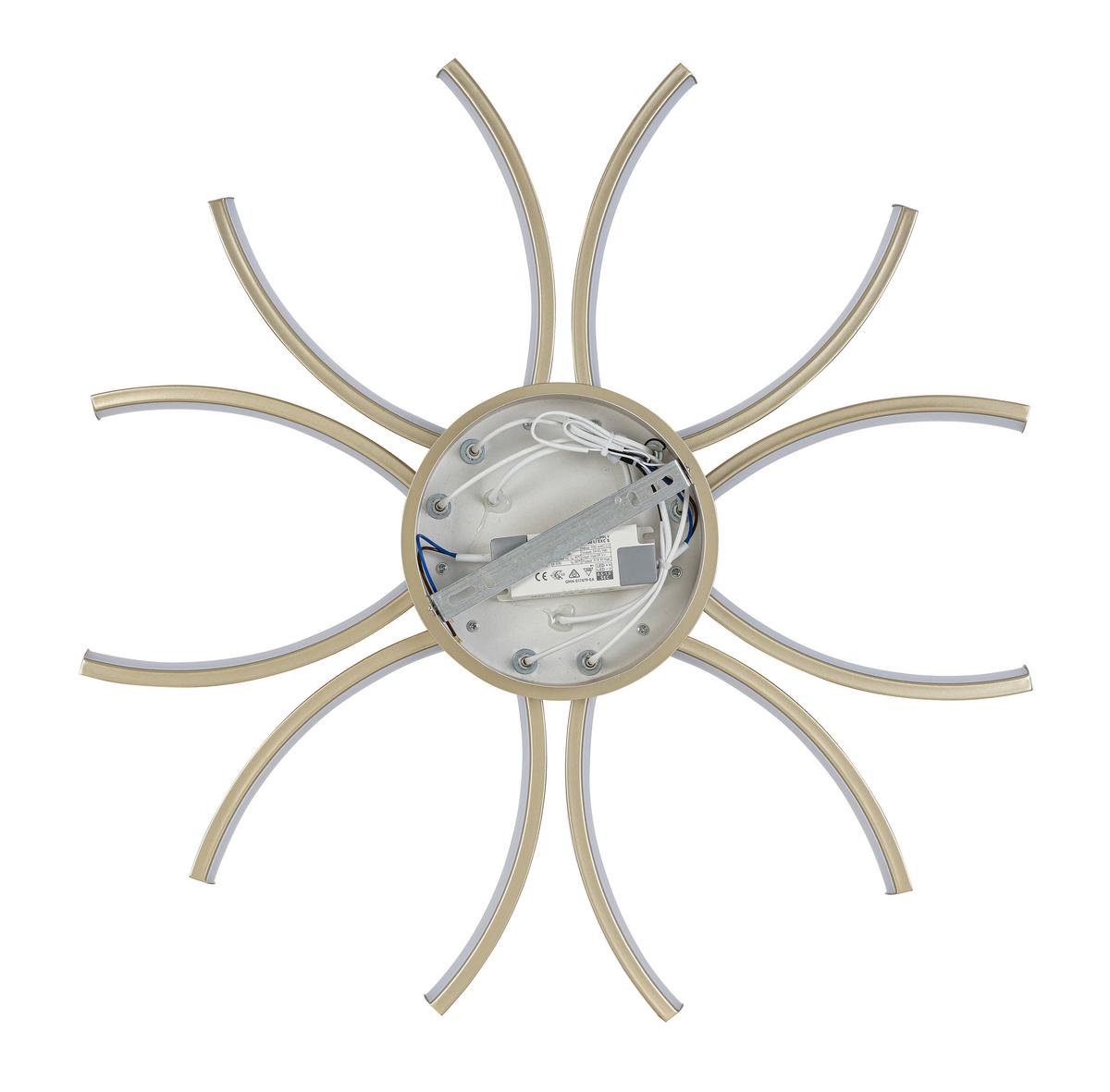 LED-DECKENLEUCHTE CYRUS - Champagner, Basics, Kunststoff/Metall (60/8,5cm) - Luca Bessoni