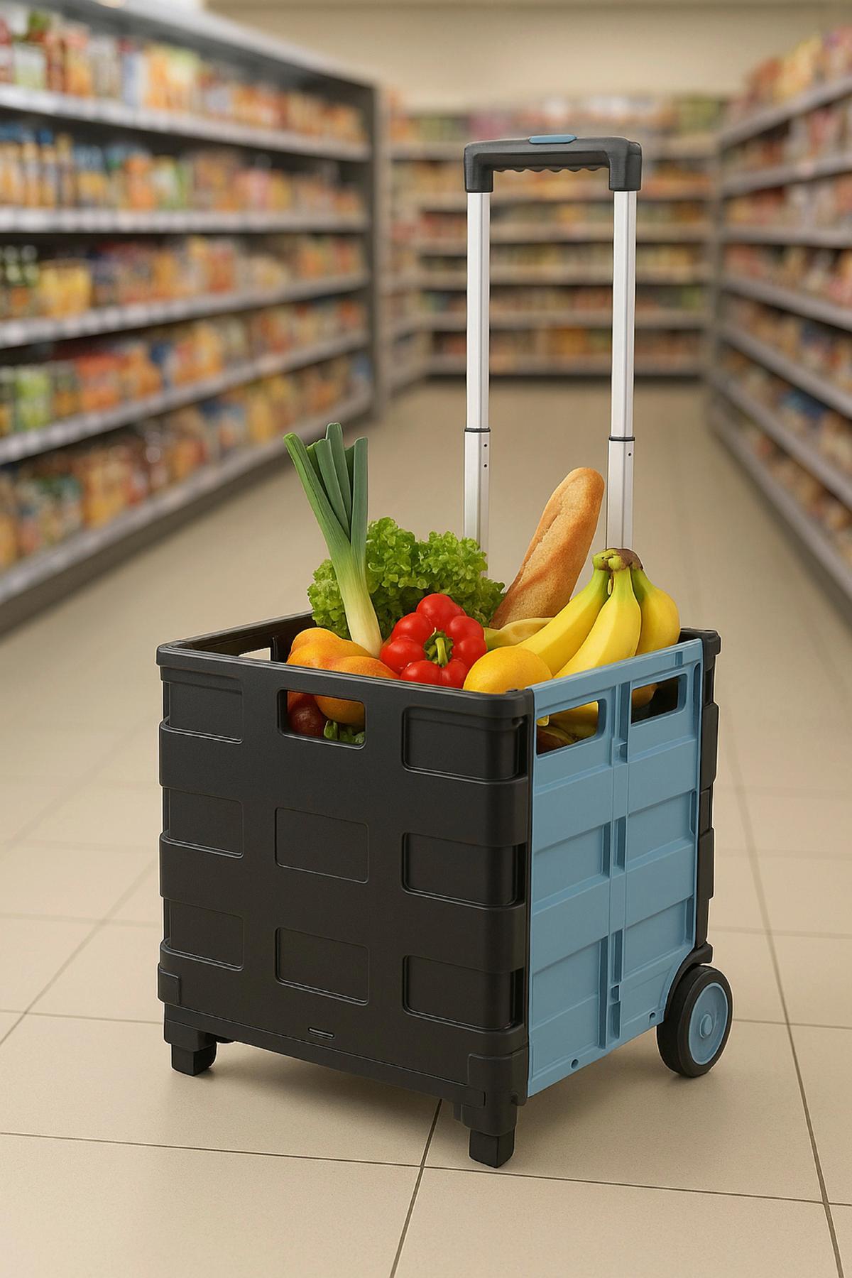 Klappbox-trolley Leon - Blau/Silberfarben, KONVENTIONELL, Kunststoff/Metall (45/38/97,5cm) - Homezone