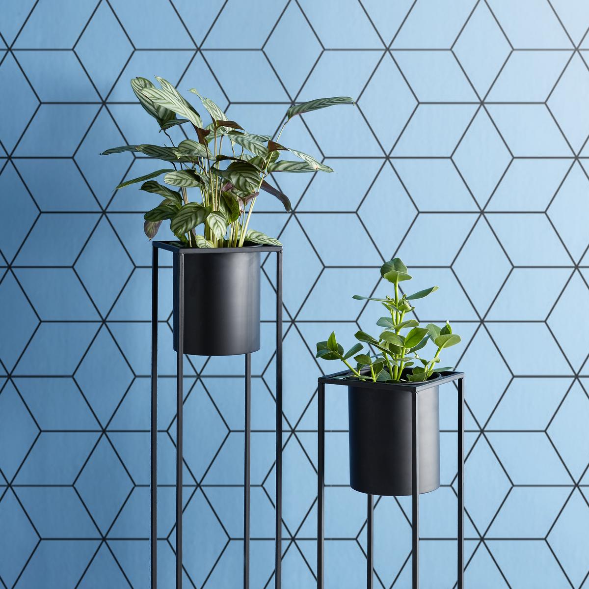 OBAL NA KVĚTINÁČ KIARA -AKT- -TOP- - černá, Lifestyle, kov (20,8/55,5cm) - Mömax