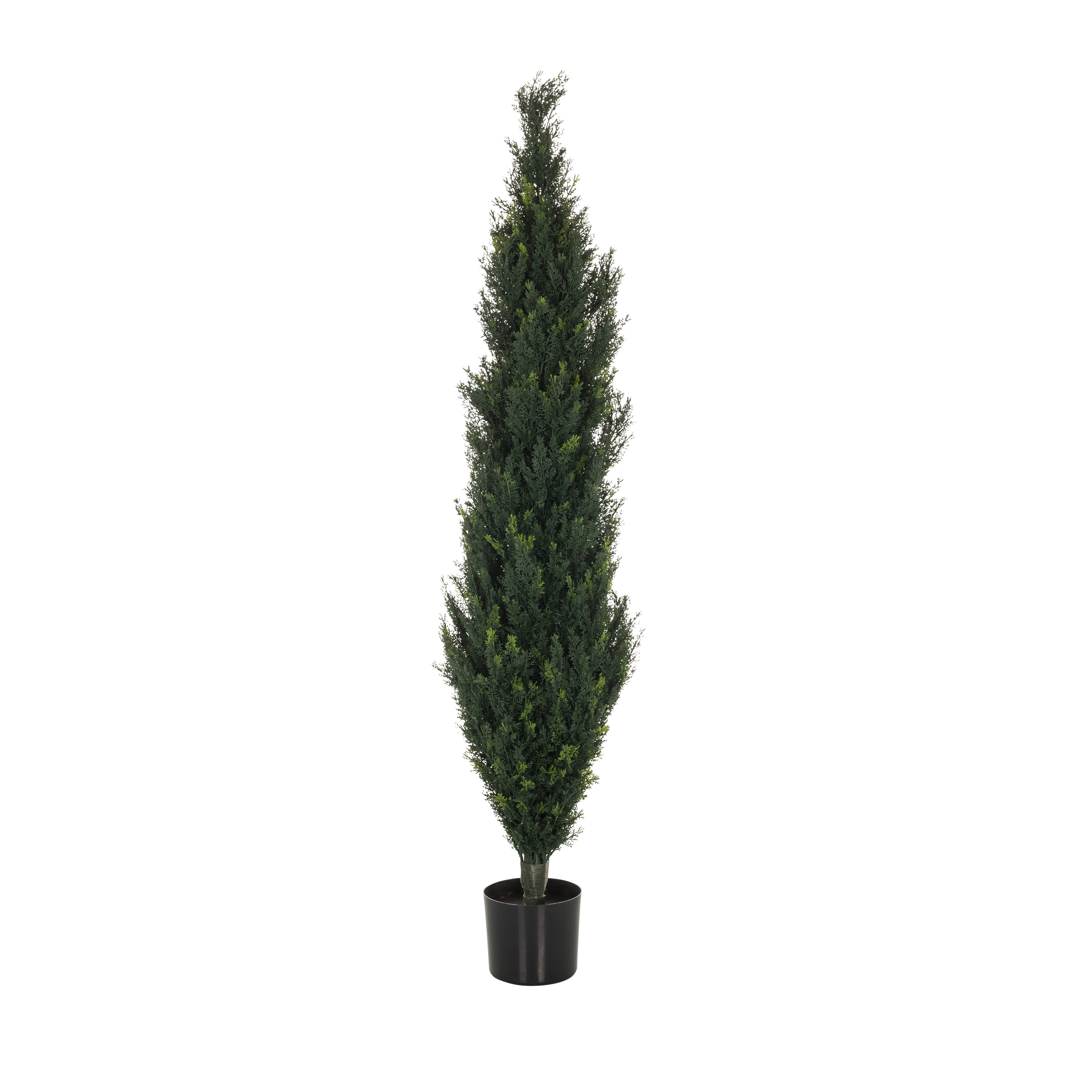 Kunstpflanze Cedrus 152 cm Grün - Schwarz/Grün, Basics, Kunststoff (35/152/35cm) - MID.YOU