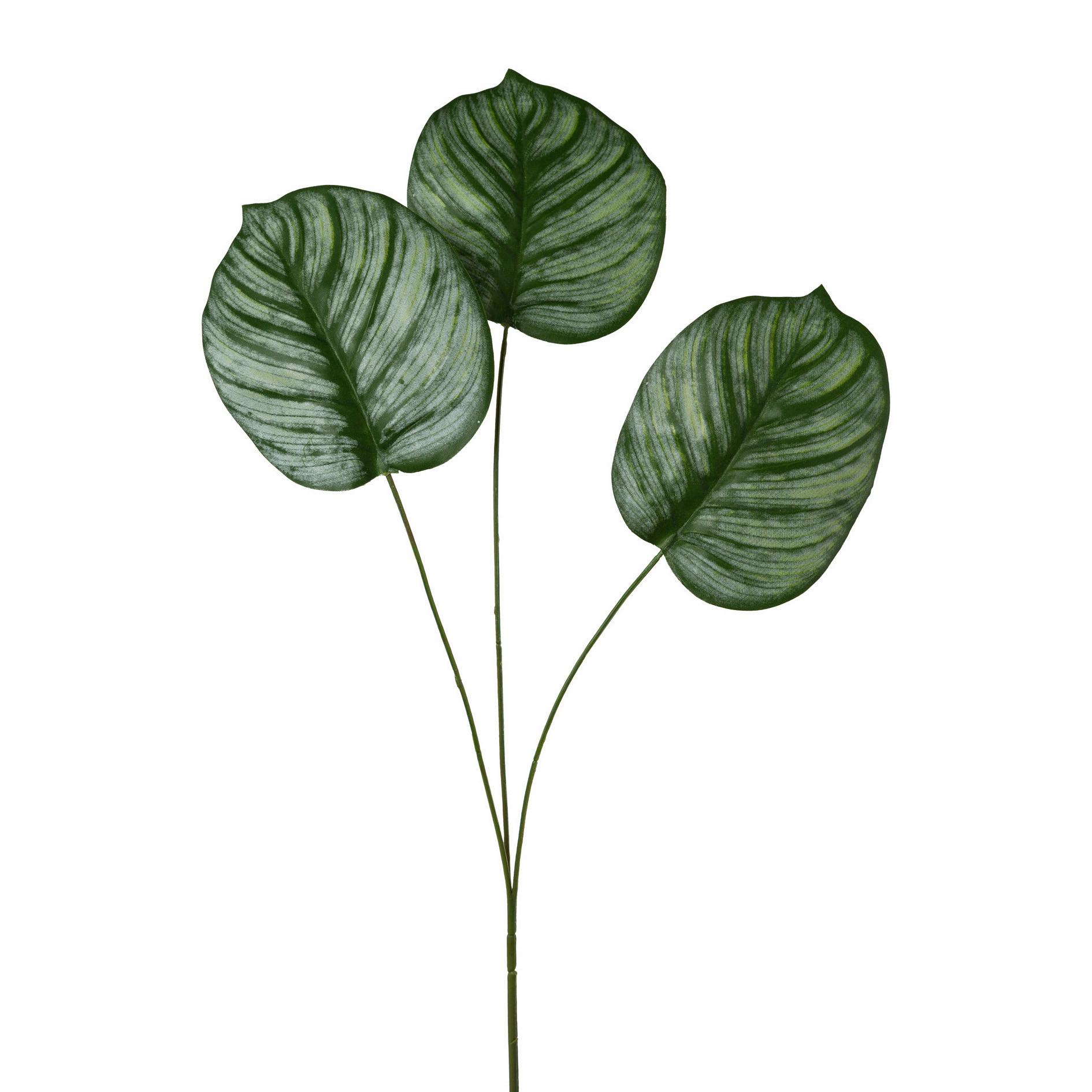 Kunstpflanze Calatheablatt Grün L: 72cm, Thea - Grün, Natur, Kunststoff (72cm)
