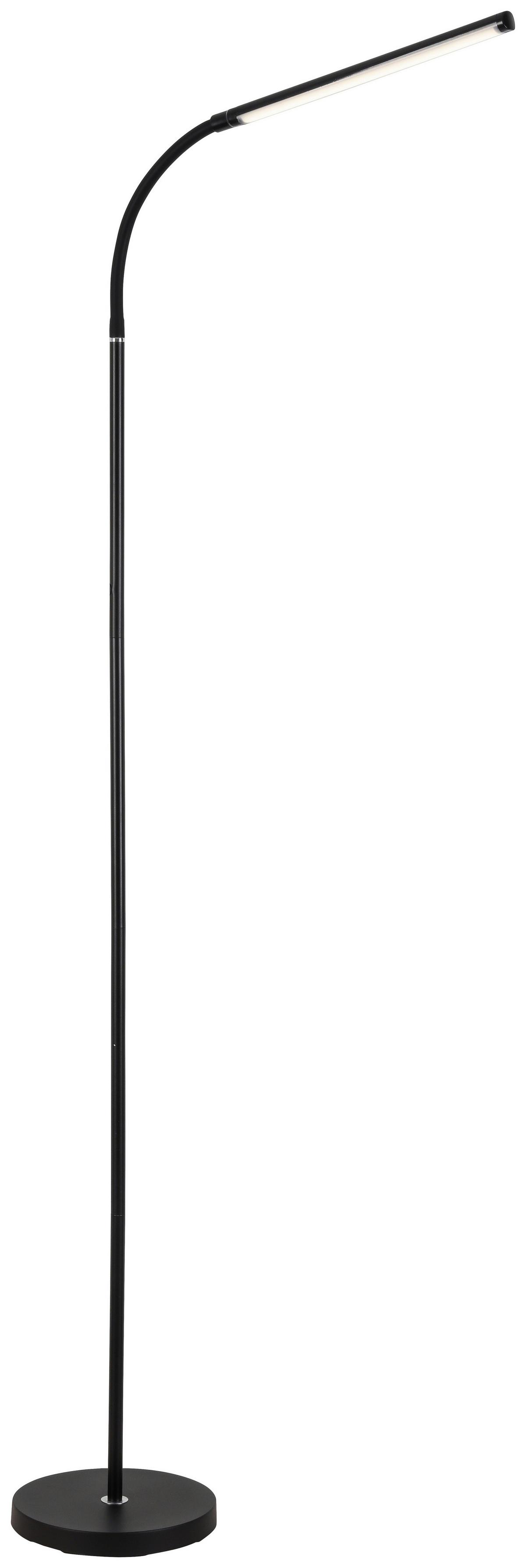 Stehleuchte David Dimmbar Schwarz - Schwarz, Design, Kunststoff/Metall (22/155cm) - Luca Bessoni