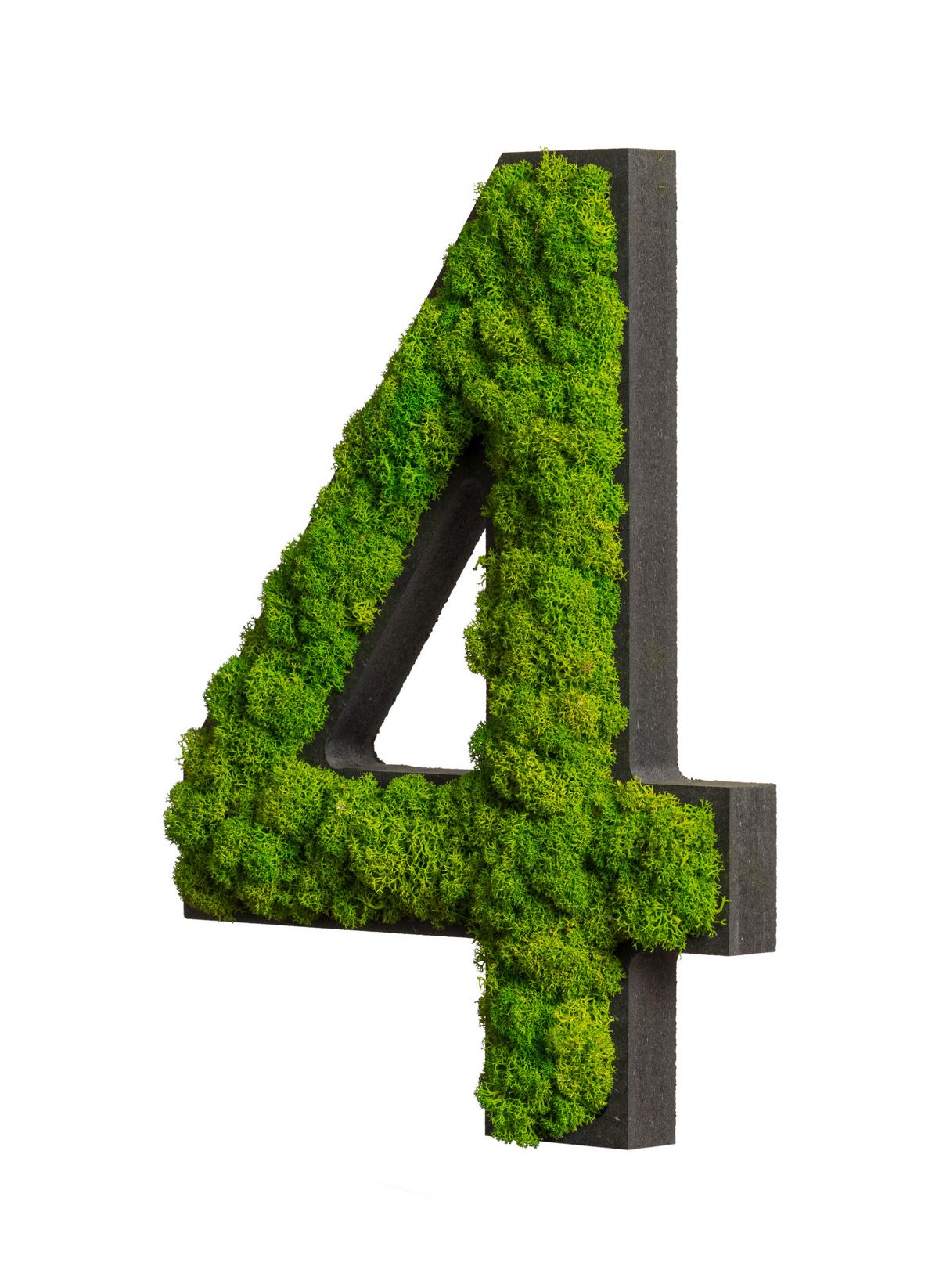 Moosbild Grün B: 25 cm - Schwarz/Grün, Basics, Naturmaterialien/Holz (25/18/2,5cm)