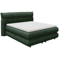 Boxspringbett Carmelo Dunkelgrün 160x200 cm H4 - Dunkelgrün/Schwarz, Trend, Textil (160/200cm)