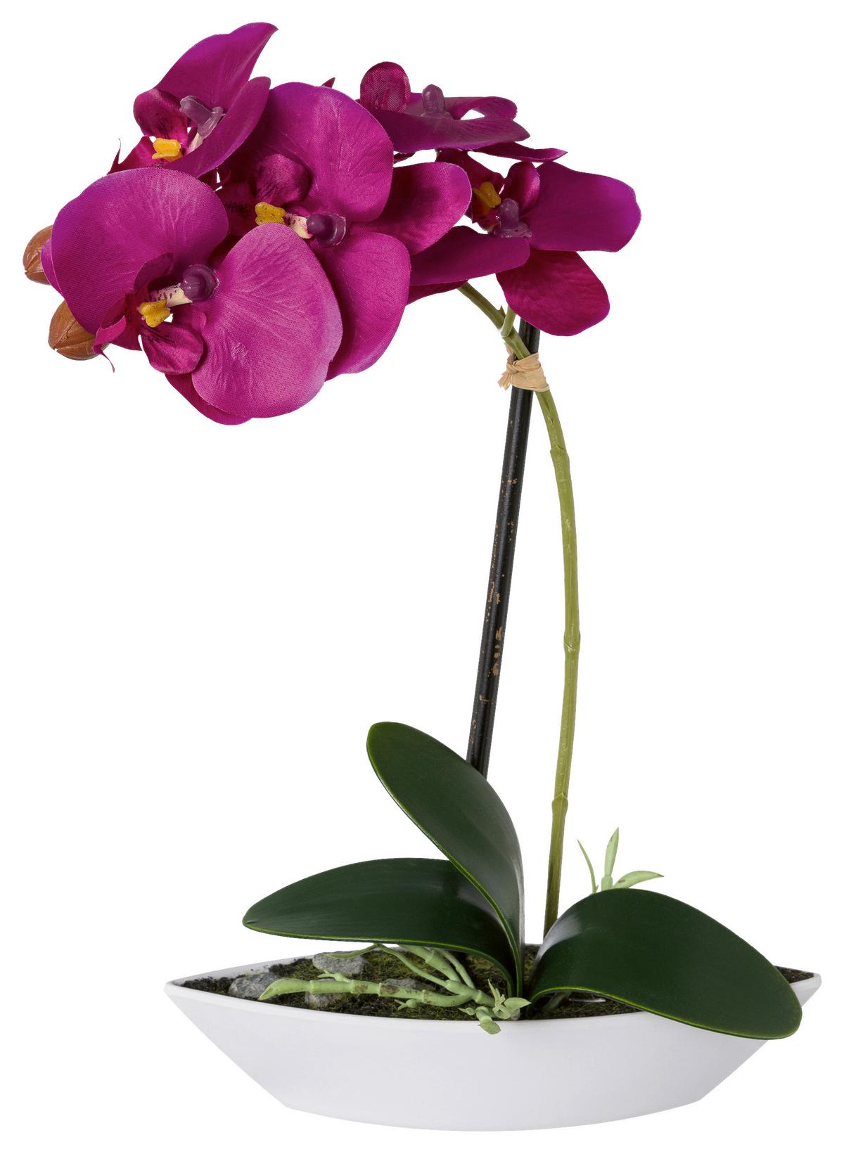 Kunstpflanze Orchideen Lila, Topf: Weiß, H: 30 cm - Lila/Weiß, Design, Keramik/Kunststoff (30cm)