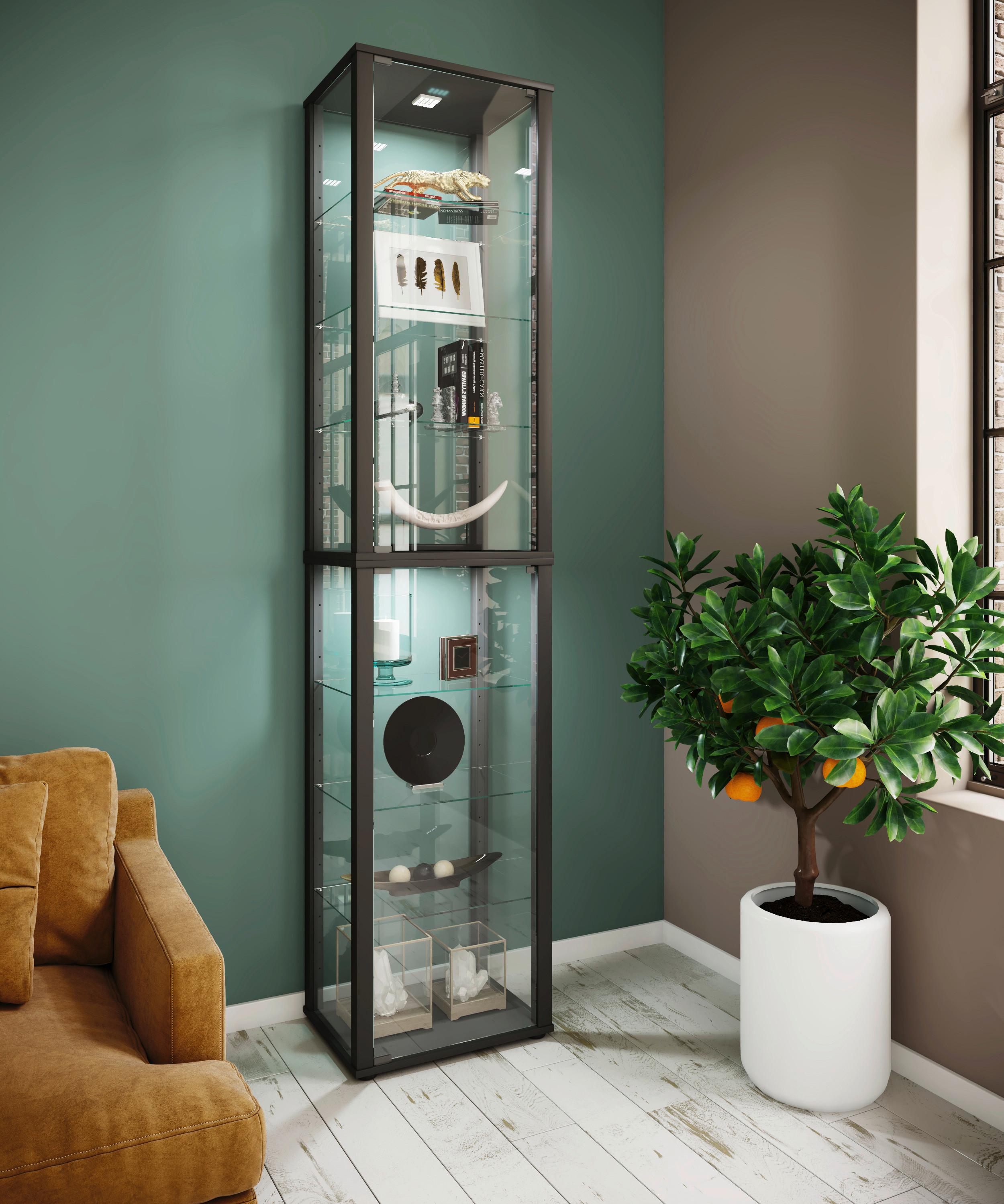Vitrine Kavisa Schwarz B: 50 cm - Schwarz, MODERN, Glas/Holzwerkstoff (50/227/38cm) - MID.YOU