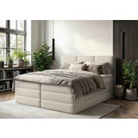 Boxspringbett mit Topper & Bettkasten 160x200 Castel - Creme/Schwarz, MODERN, Holz/Holzwerkstoff (160/200cm) - MID.YOU