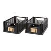 Skládací box KNUT - M- - černá, Moderní, plast (33/24,5/15cm) - Mömax