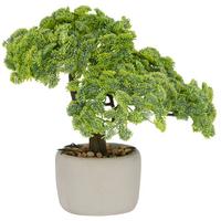 Bonsai Grün Braun Grau B: 24 cm - Braun/Grau, Basics, Kunststoff/Stein (26cm) - P & B