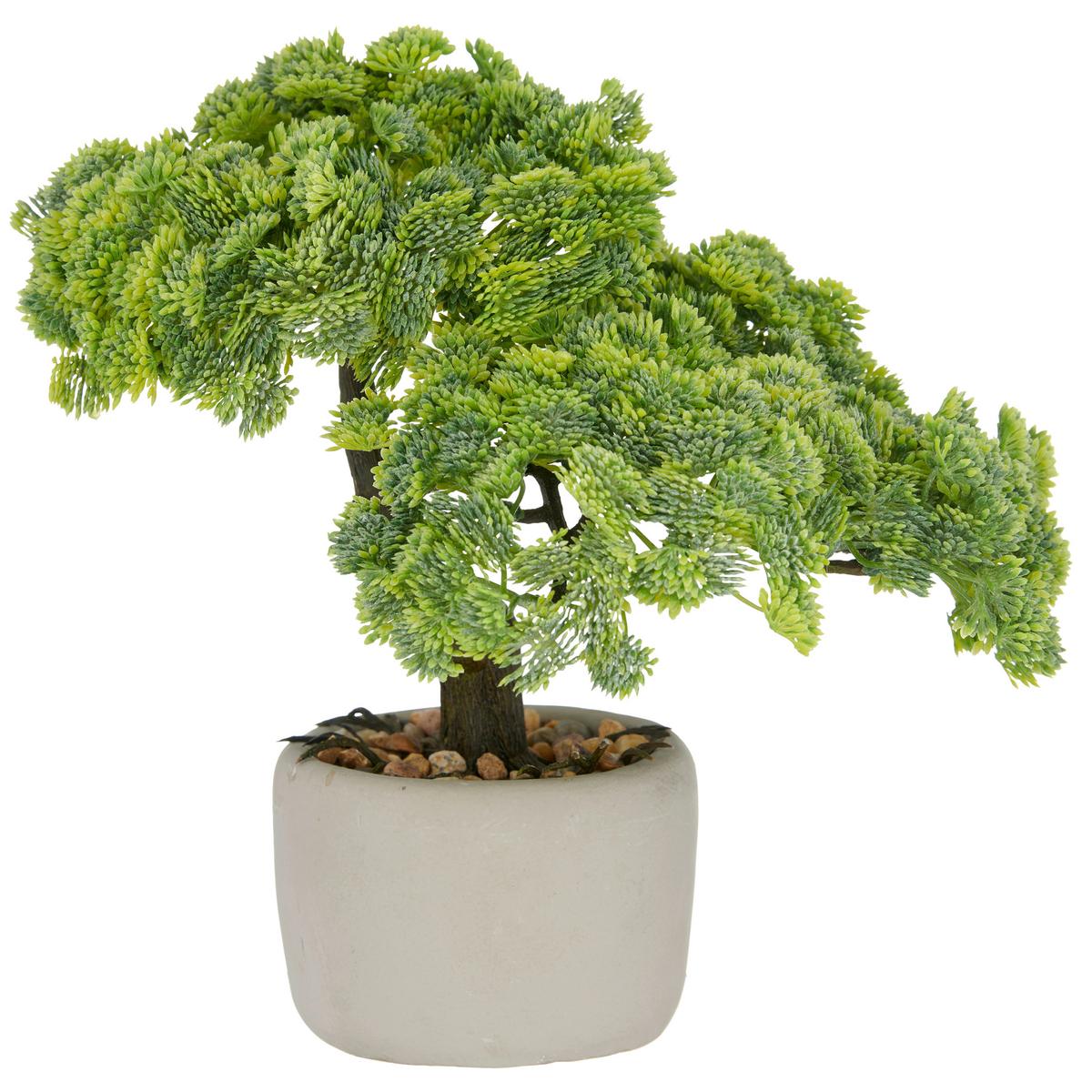 Bonsai Grün Braun Grau B: 24 cm - Braun/Grau, Basics, Kunststoff/Stein (26cm) - P & B