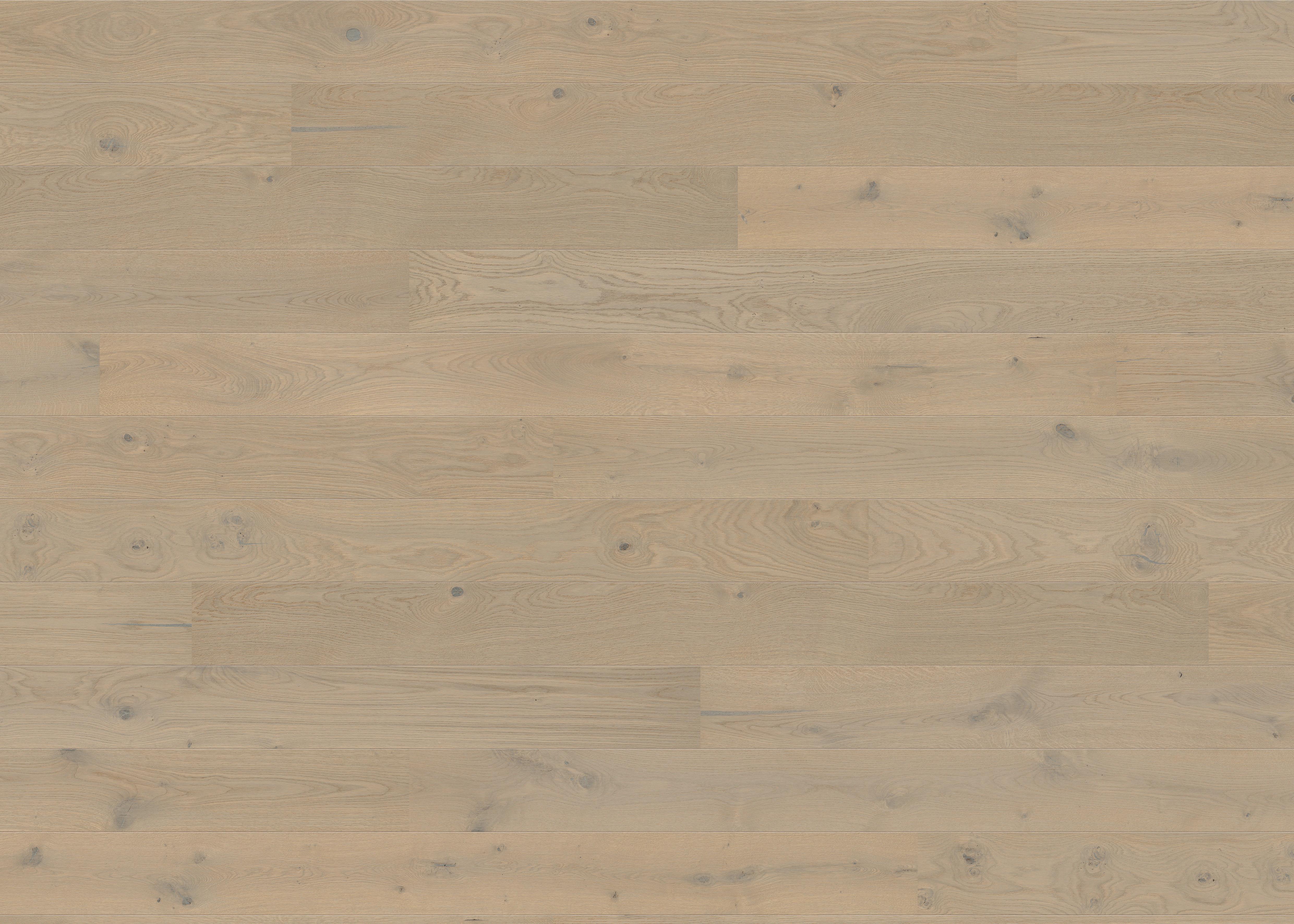 Parkettboden Eiche Hellgrau Landhausdiele Stärke 12mm - Hellgrau, Basics, Holzwerkstoff (18/220cm) - Living by HARO