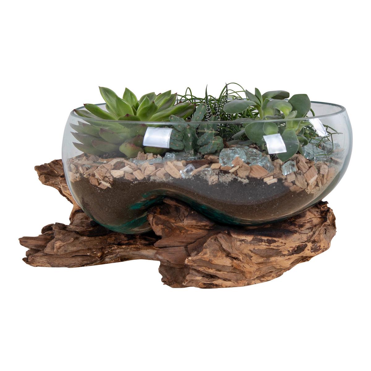 Dekoschale San Marino Klar Teakfarben - Klar/Teakfarben, Basics, Glas/Holz (26/20cm)