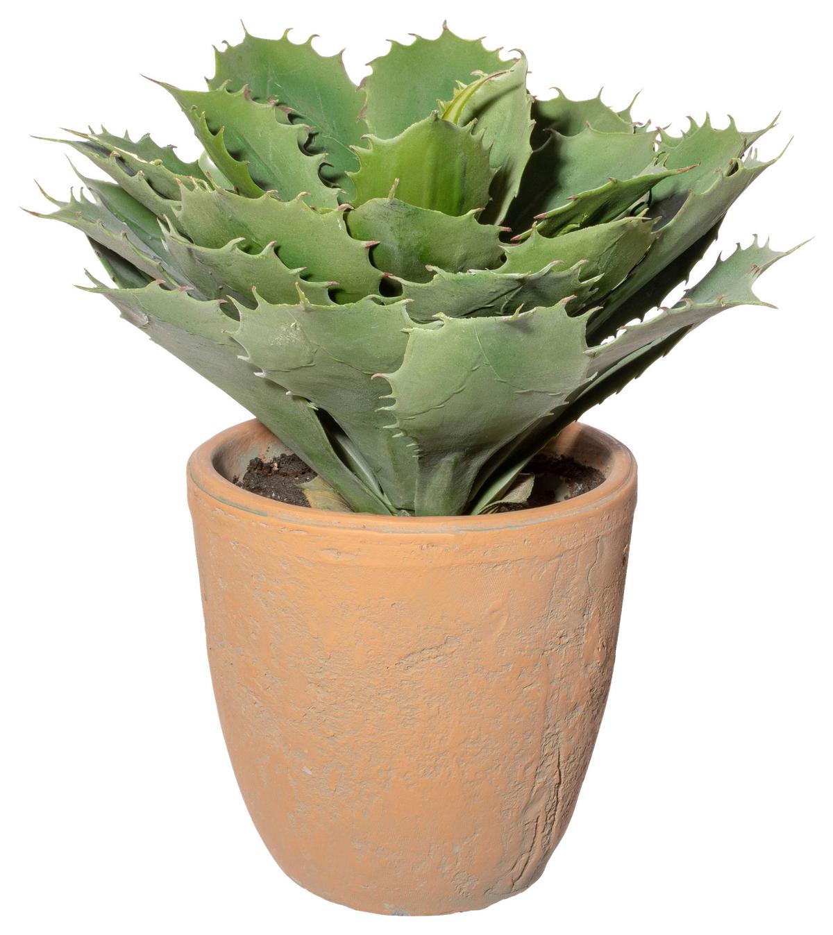 Kunstpflanze Sukkulenten Grün/naturfarben, 32 Cm - Naturfarben/Grün, Design, Keramik/Kunststoff (32cm) - P & B