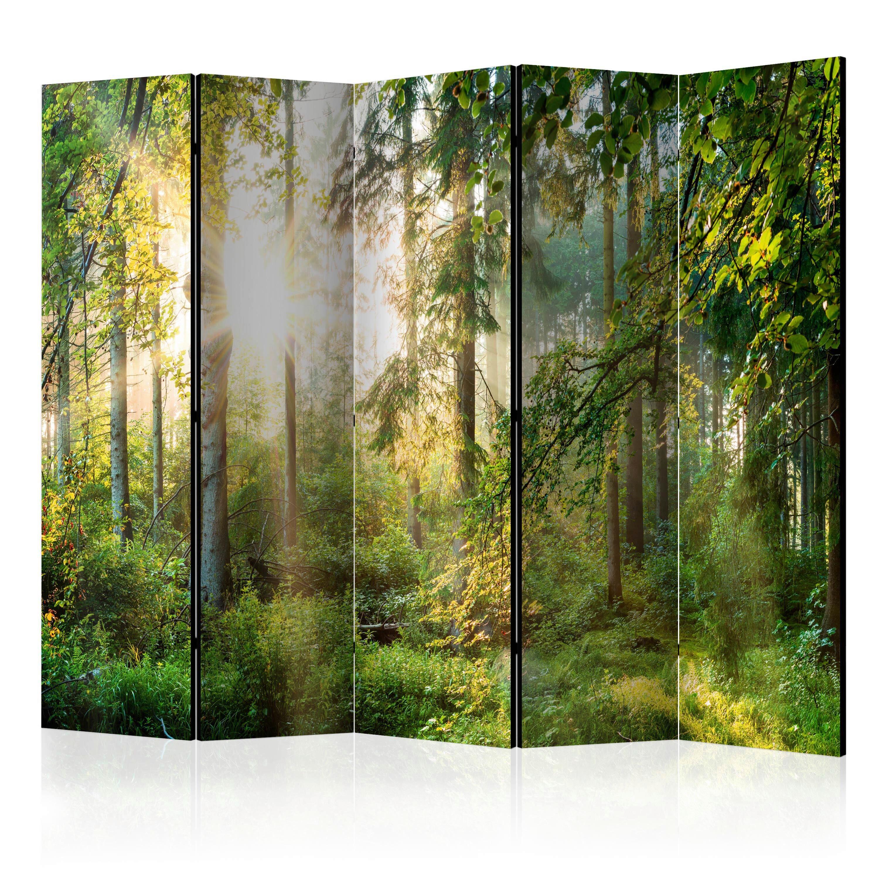 PARAVENT Dunkelgrün Hellgrün B: 225 cm - Dunkelgrün/Hellgrün, Basics, Holz/Textil (225/172/3cm) - artgeist