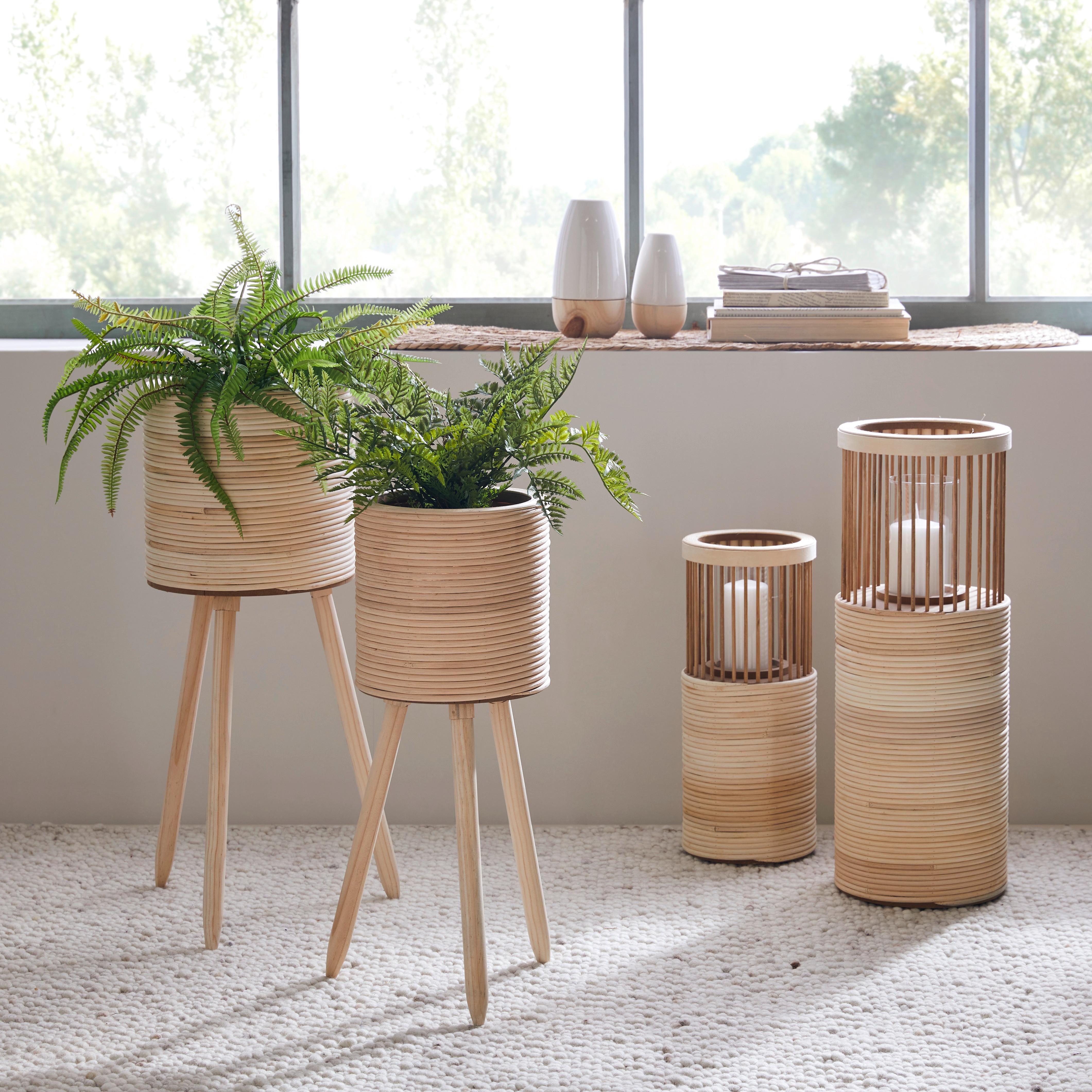 Obal Na Květináč Bamboo, V: 56cm - přírodní barvy, dřevo (21,5/56cm) - Premium Living