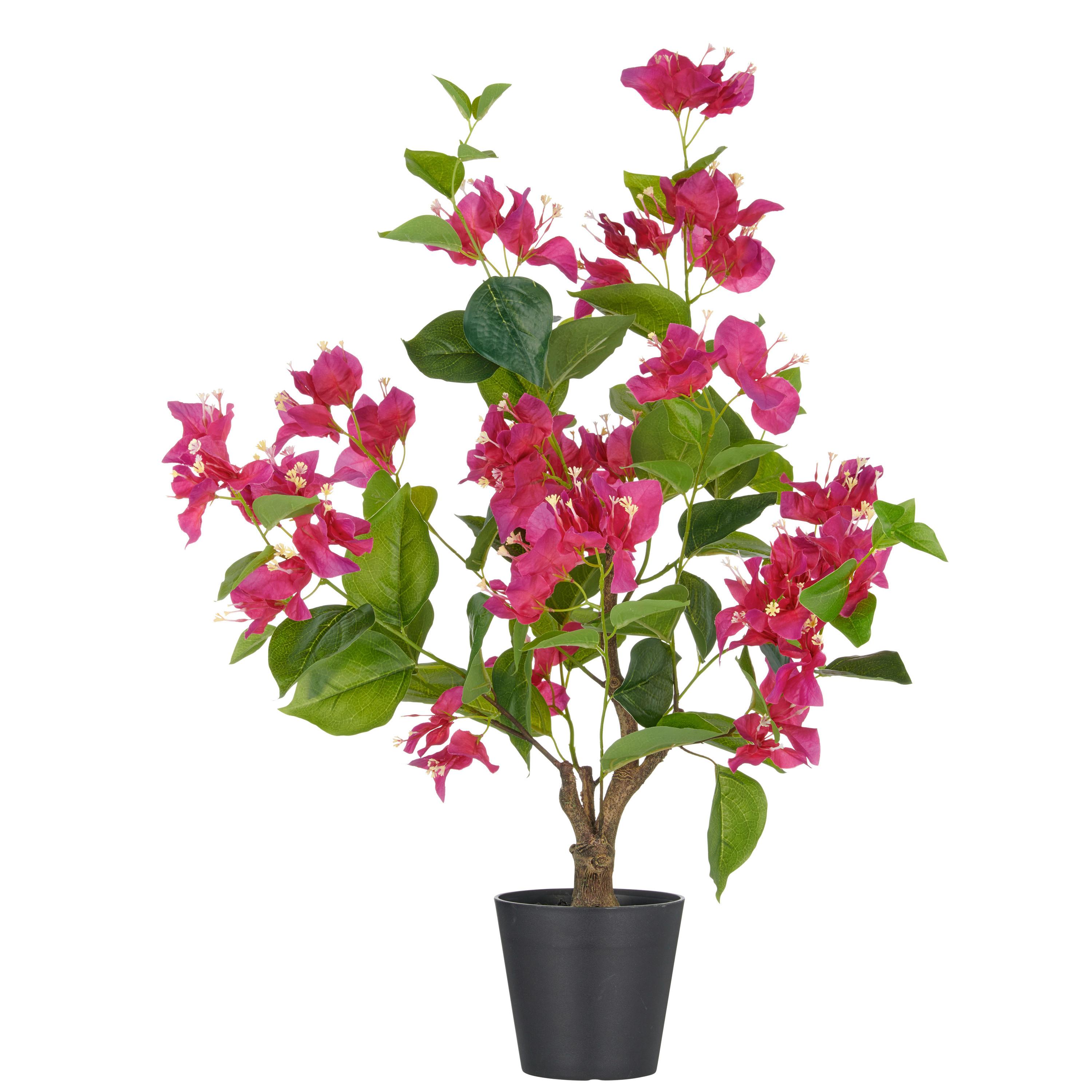 Kunstpflanze Pink Braun Schwarz B: 20 cm - Pink/Schwarz, Basics, Kunststoff (20/68/20cm) - P & B