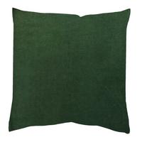 KISSENBEZUG Grün 50x50 cm - Grün, Basics, Textil (50/50cm)