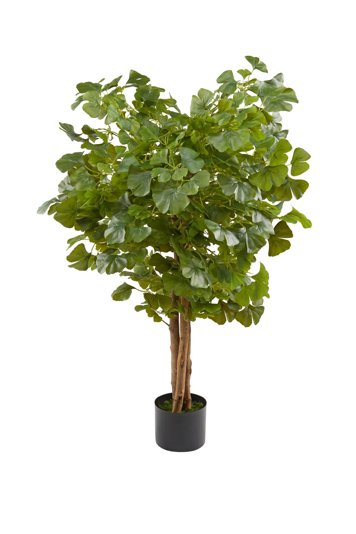 Kunstpflanze Ginkobaum Gerhard - Schwarz/Naturfarben, Natur, Holz/Kunststoff (120cm) - James Wood