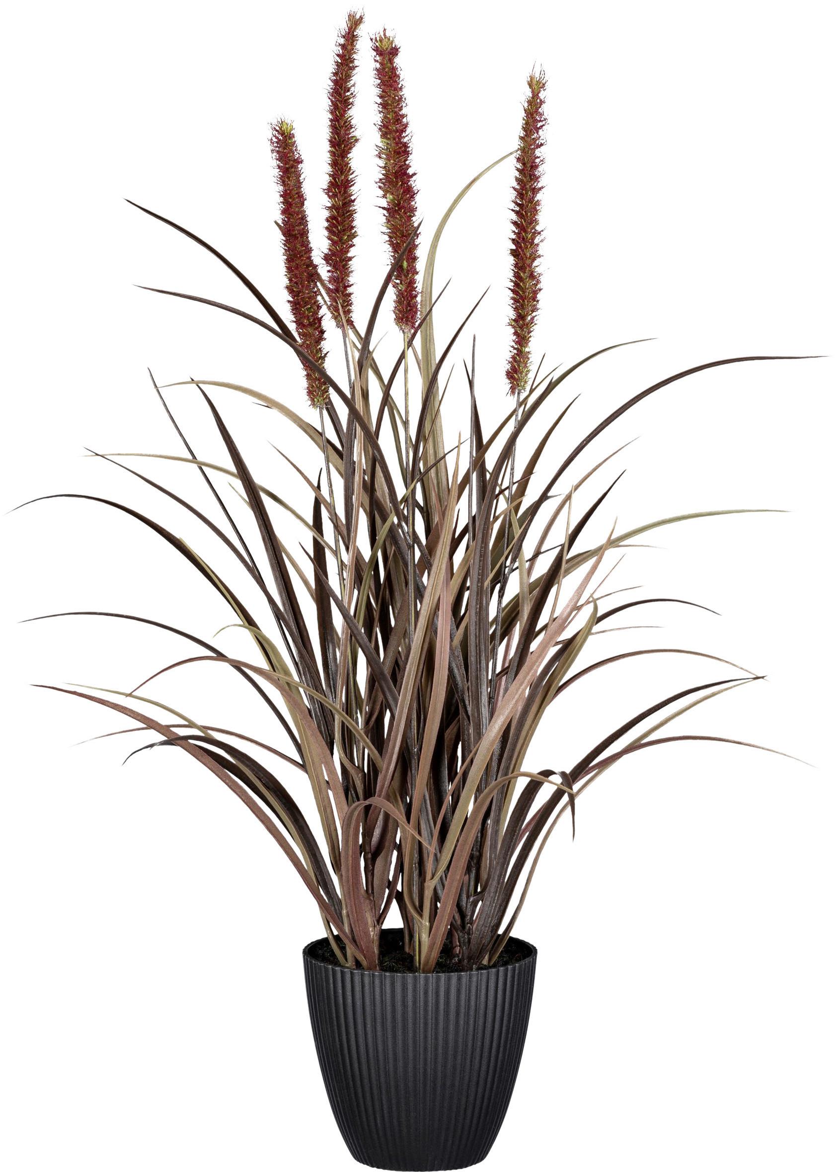 Kunstpflanze Grasbündel, Braun H: ca. 54 cm, mit Topf - Braun, Natur, Kunststoff (54cm)