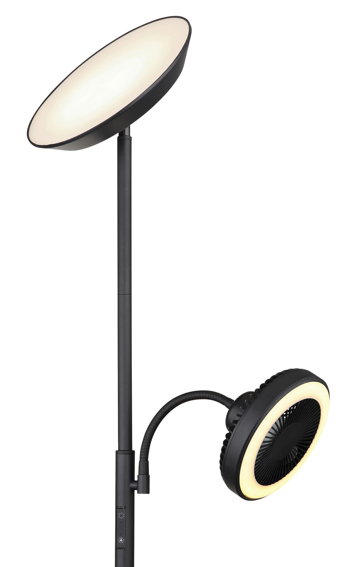 LED-Stehleuchte 58008 - Opal/Schwarz, KONVENTIONELL, Kunststoff/Metall (33,7/25/178cm) - Globo