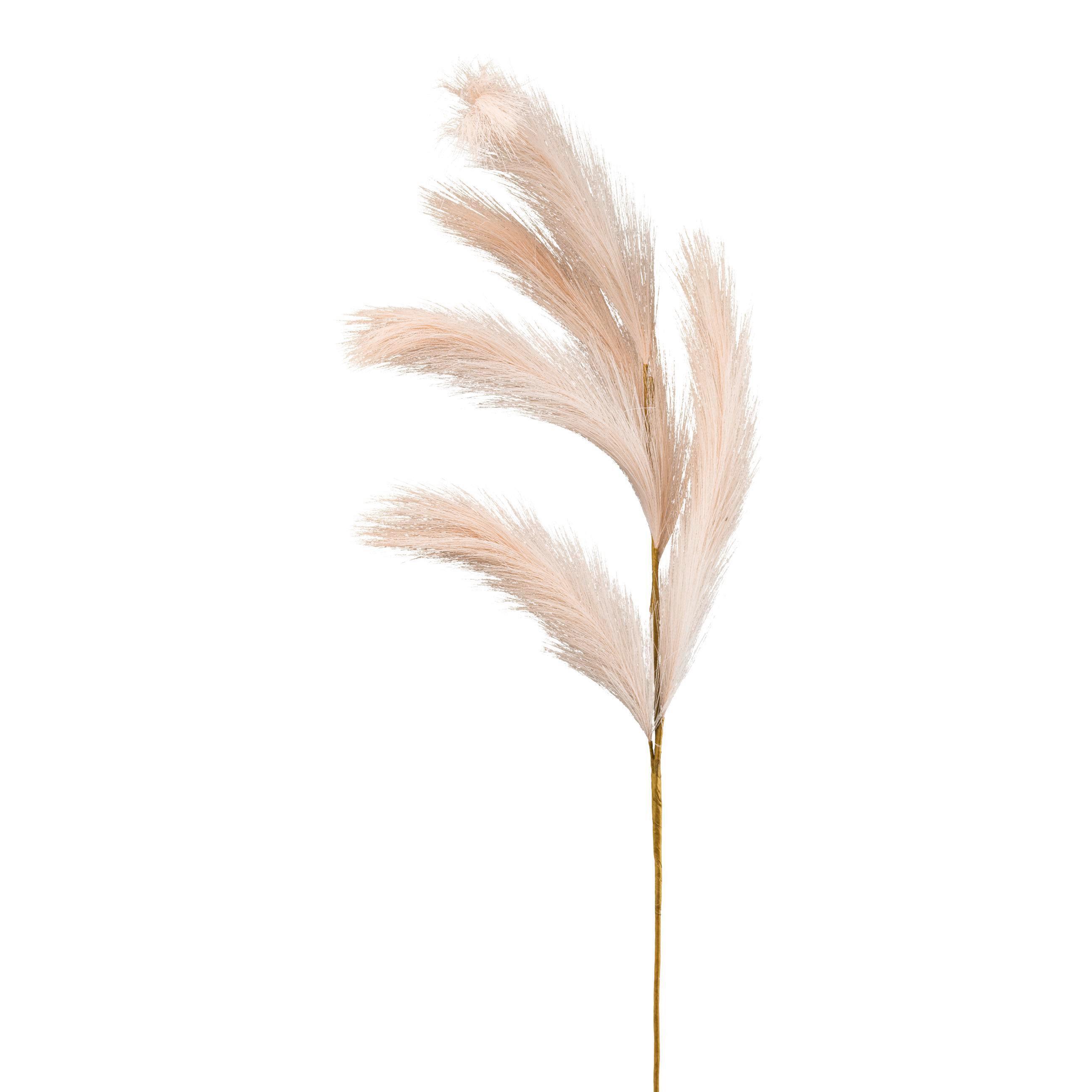 Dekozweig Reedgras - Beige, Basics, Kunststoff (80cm)