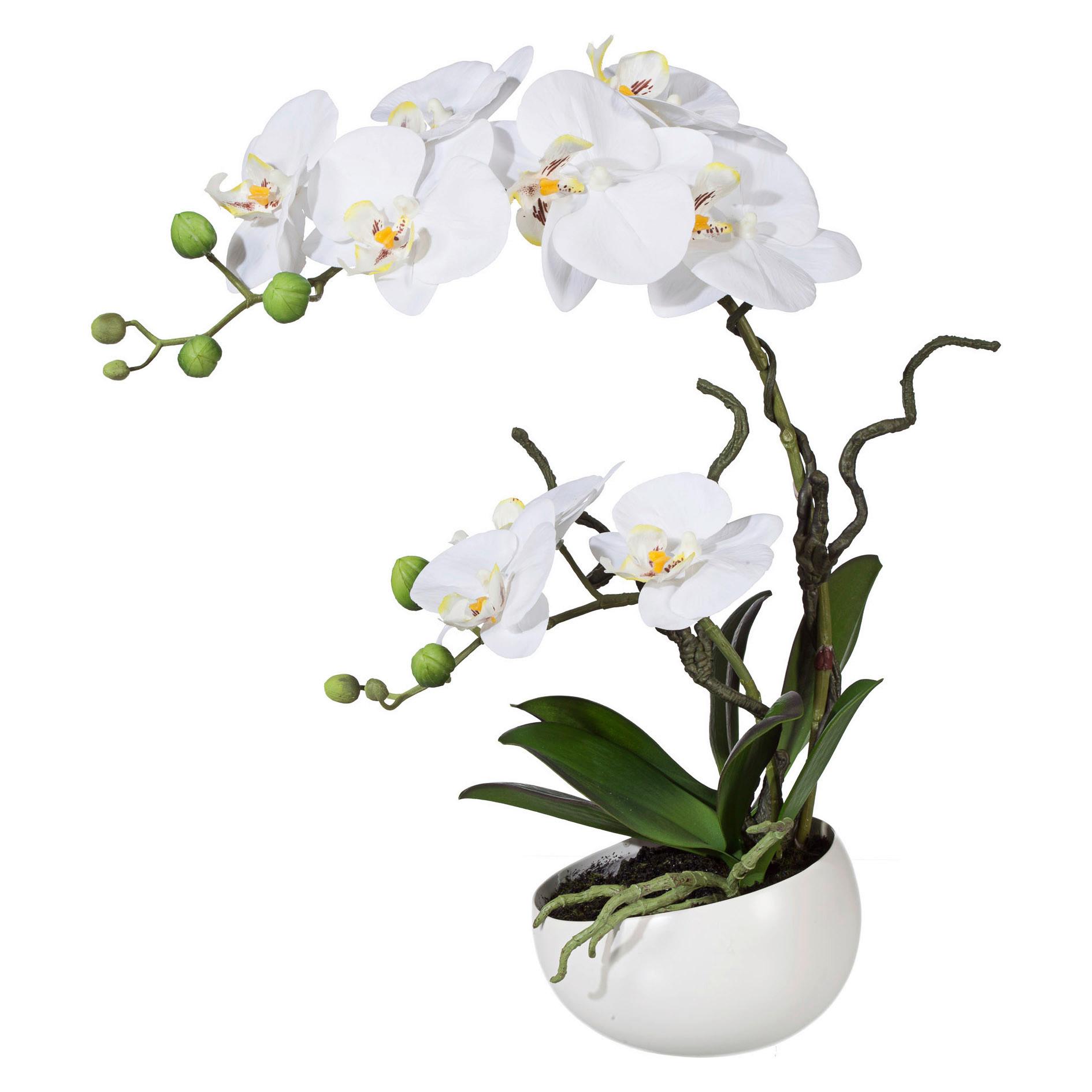 Kunstblume Orchidee Fiona - Weiß, Basics, Keramik/Kunststoff (42cm)