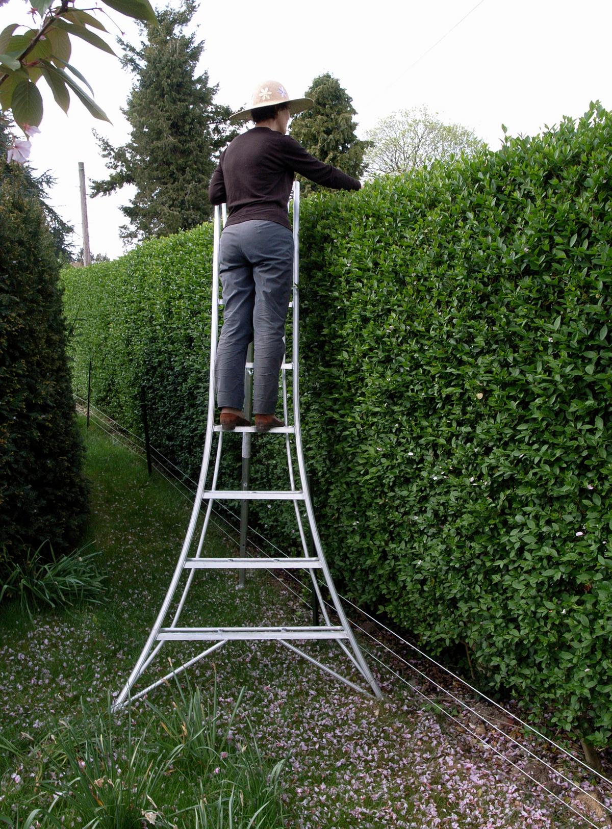 Leiter 3-Holm-Gartenleiter 240cm - Silberfarben, Basics, Metall (125/240/20cm)