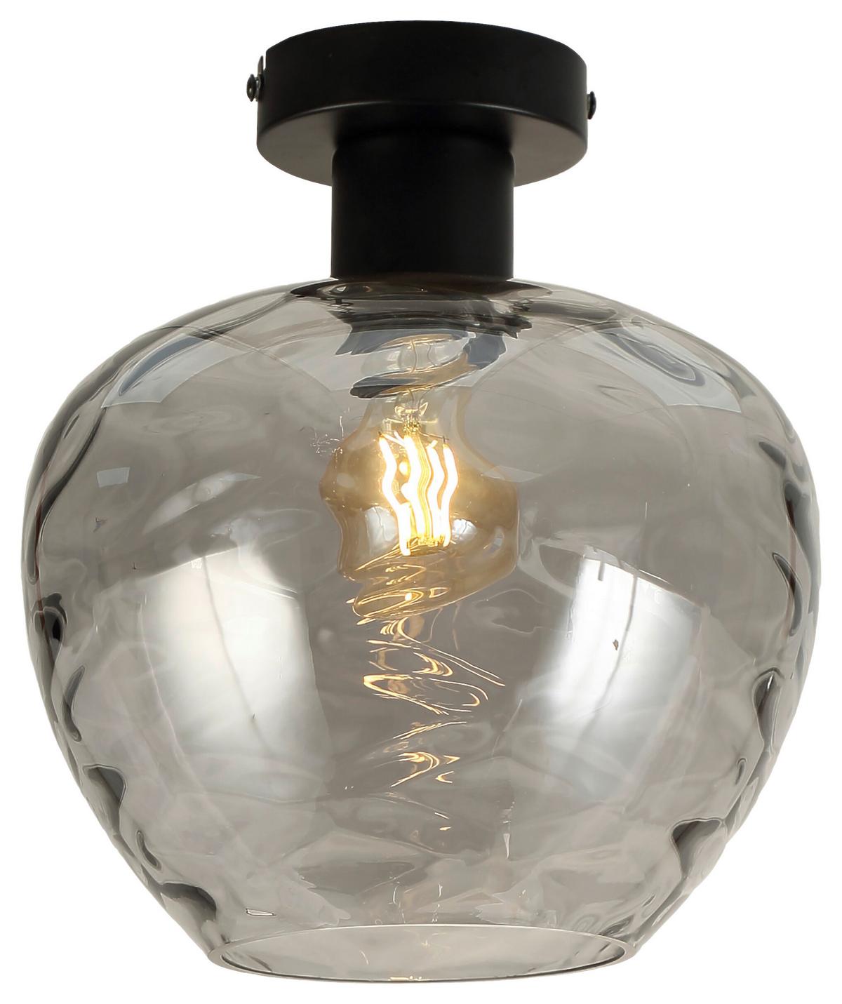 STROPNÍ SVÍTIDLO RUZ - černá, Moderní, kov/sklo (24/26.5cm) - Modern Living