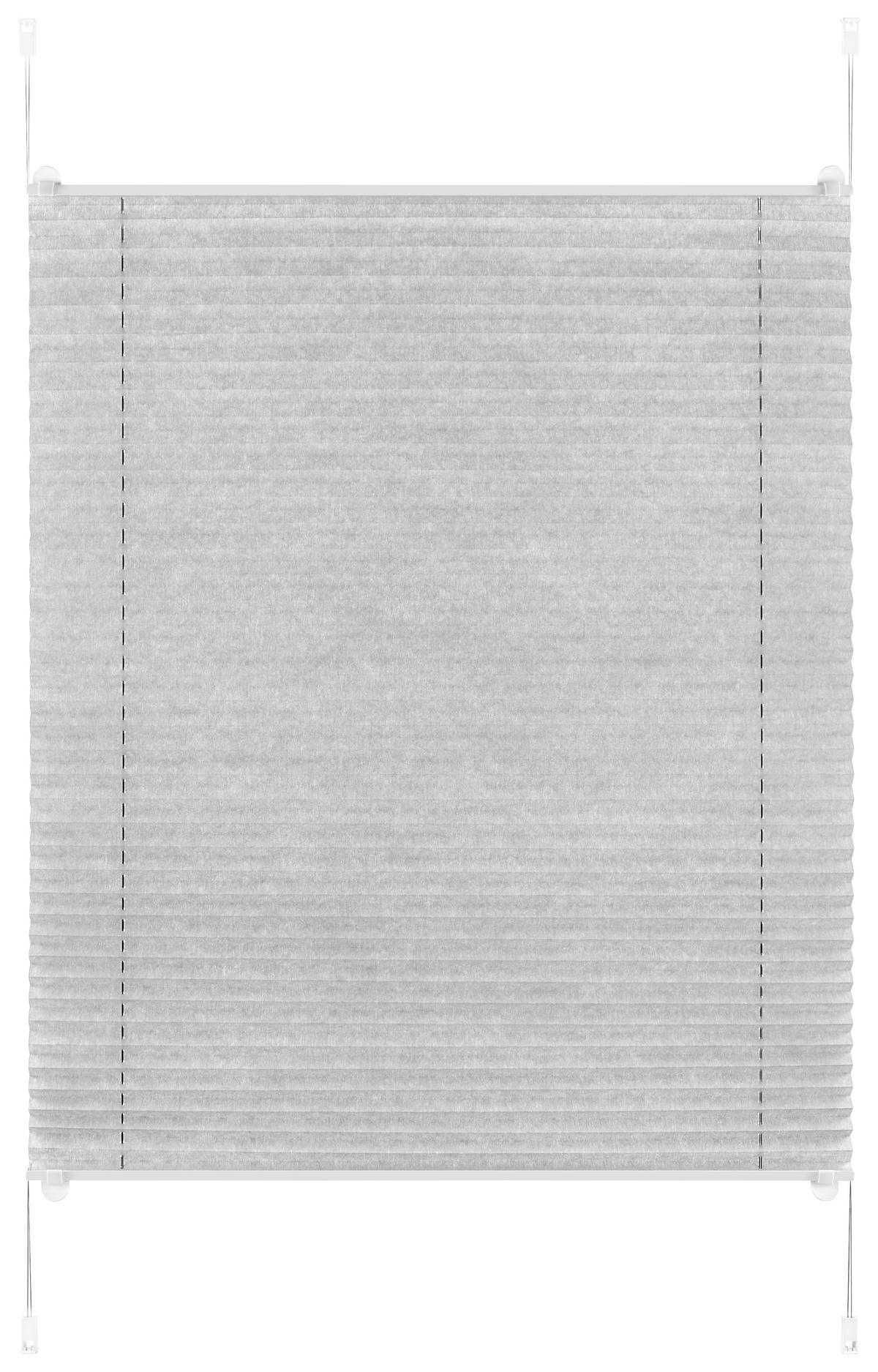 Plissee Luzia Silber B: 60 Cm Plissee Verspannt - Silberfarben, MODERN, Kunststoff (60/130cm) - Luca Bessoni