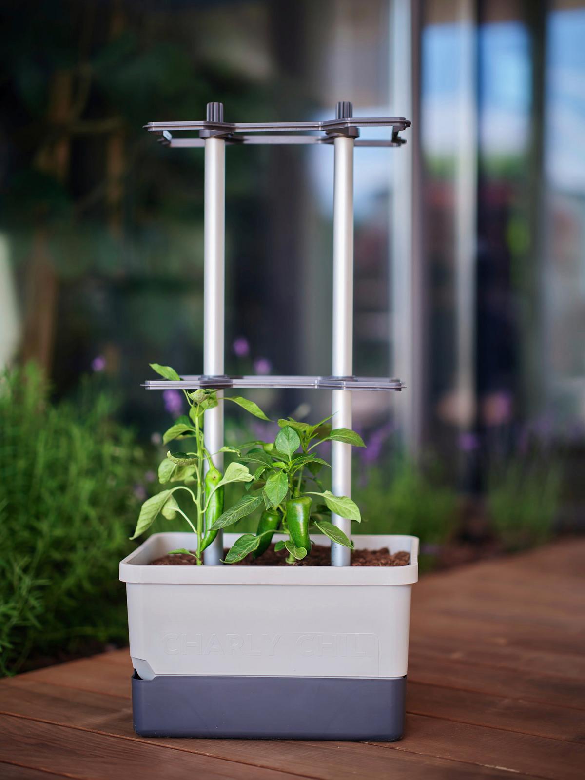 Pflanztopf grau/Hellgrau - Hellgrau/Grau, Basics, Kunststoff (34,5/69/27,5cm) - Gusta Garden