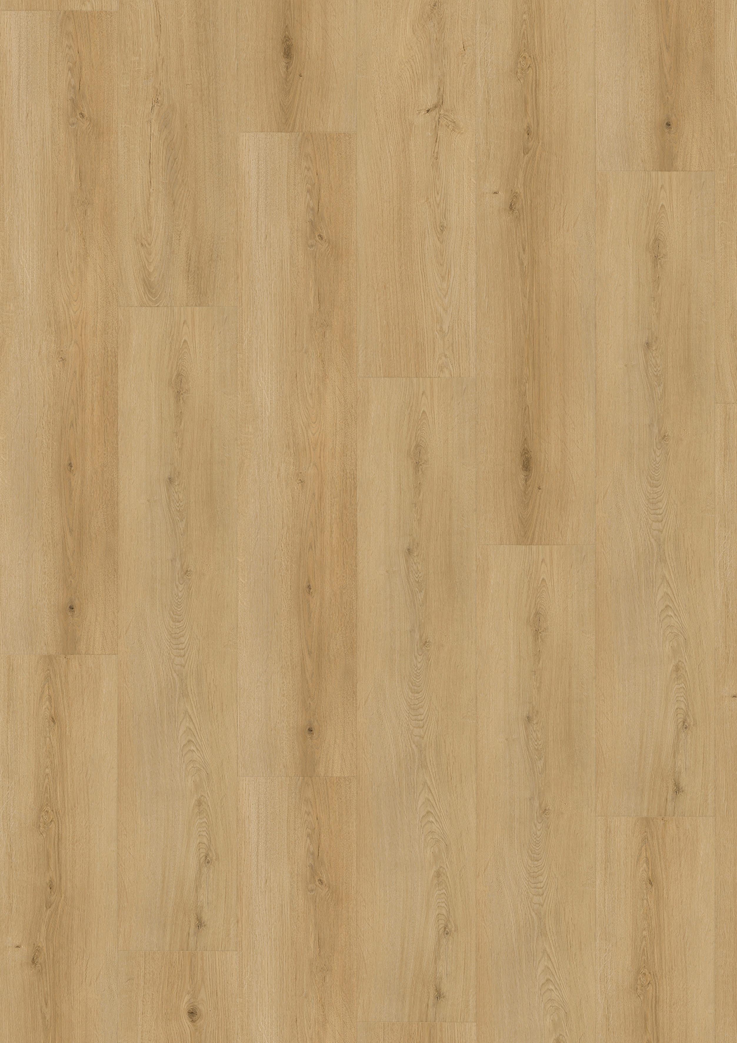 Vinylboden 4123 - Eichefarben, Basics, Kunststoff (22,6/122/0,5cm)