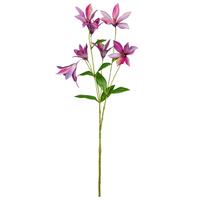 Dekoračná vetvička CLEMATIS I - pink/zelená, Konventionell, plast (84cm) - Mömax