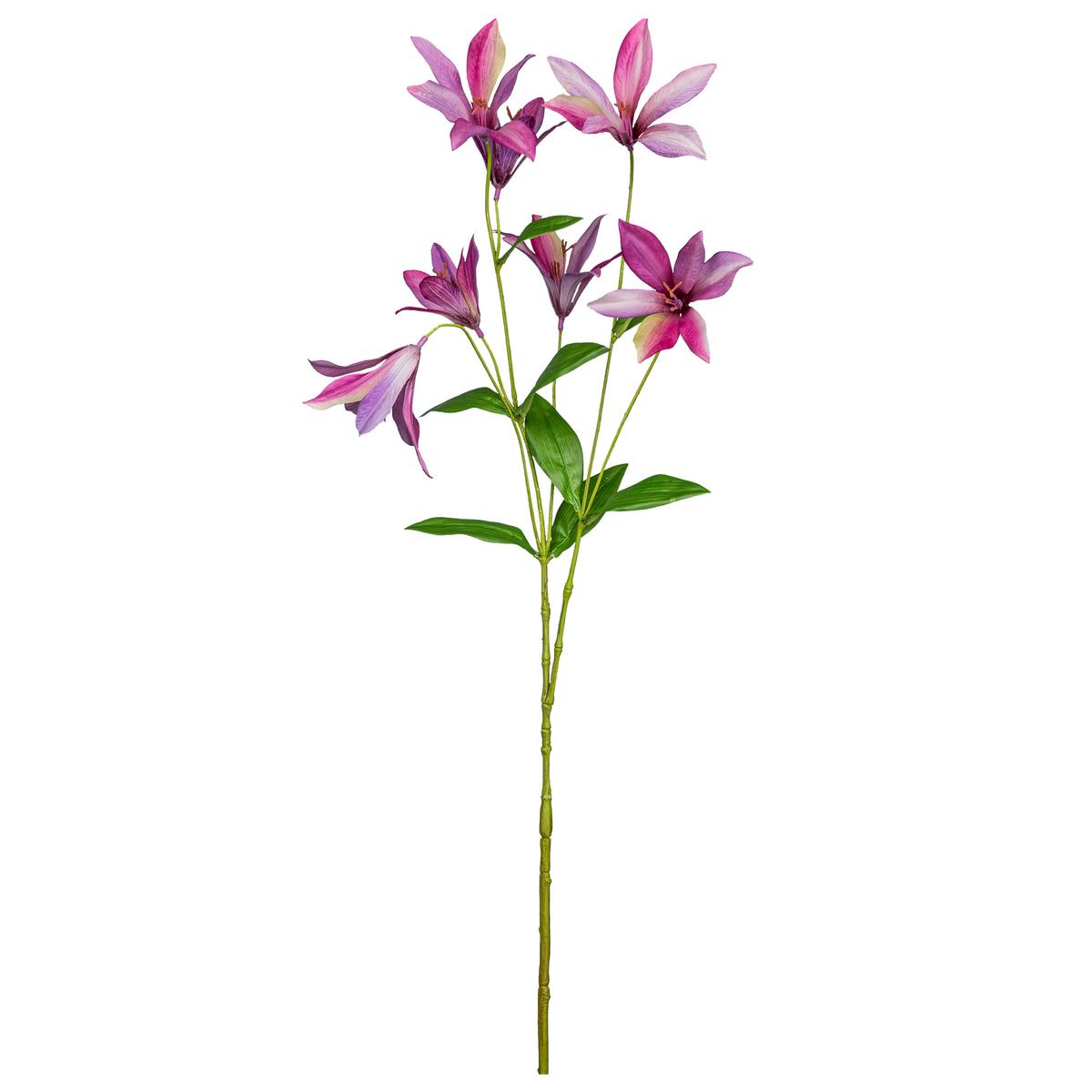 Dekoračná vetvička CLEMATIS I - pink/zelená, Konventionell, plast (84cm) - Mömax