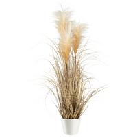 Umelá rastlina Pampová tráva, V: ca. 76cm - prírodná farba, Modern, plast (76cm) - Modern Living