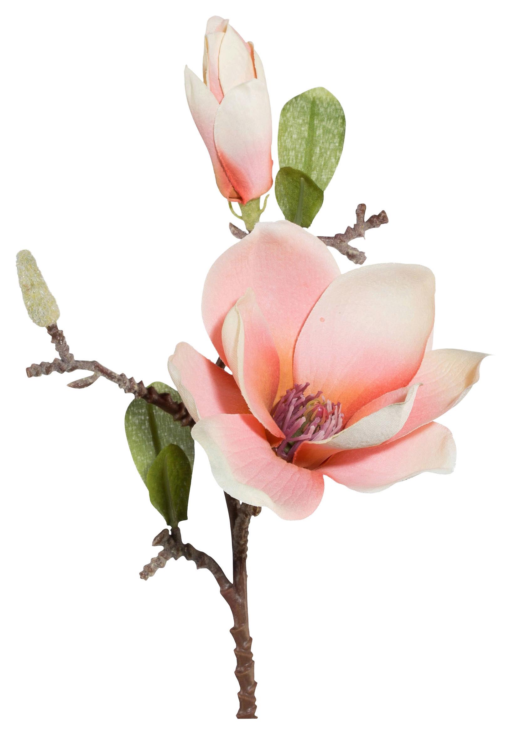 Kunstpflanze Magnolie Rosa L: 37 cm, Alea - Rosa/Braun, KONVENTIONELL, Kunststoff/Metall (37cm)