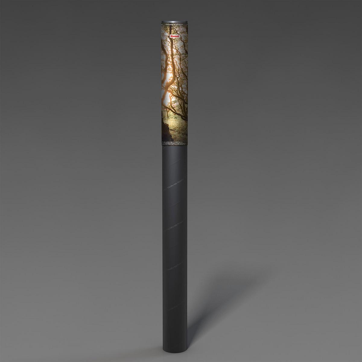 Vliestapete Bold Birch - Multicolor, Basics (400/250cm) - Komar