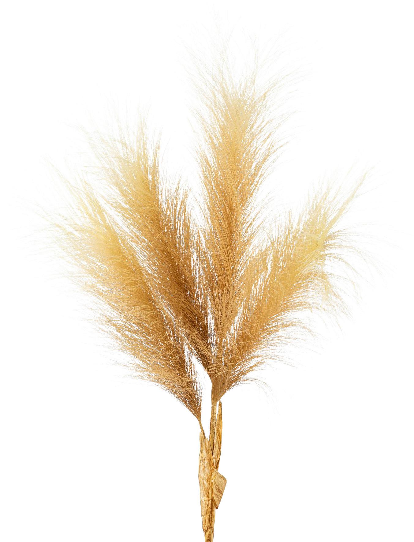 Umělá rostlina Pampová tráva, V: 107cm - přírodní barvy, Moderní, plast (107cm) - Modern Living