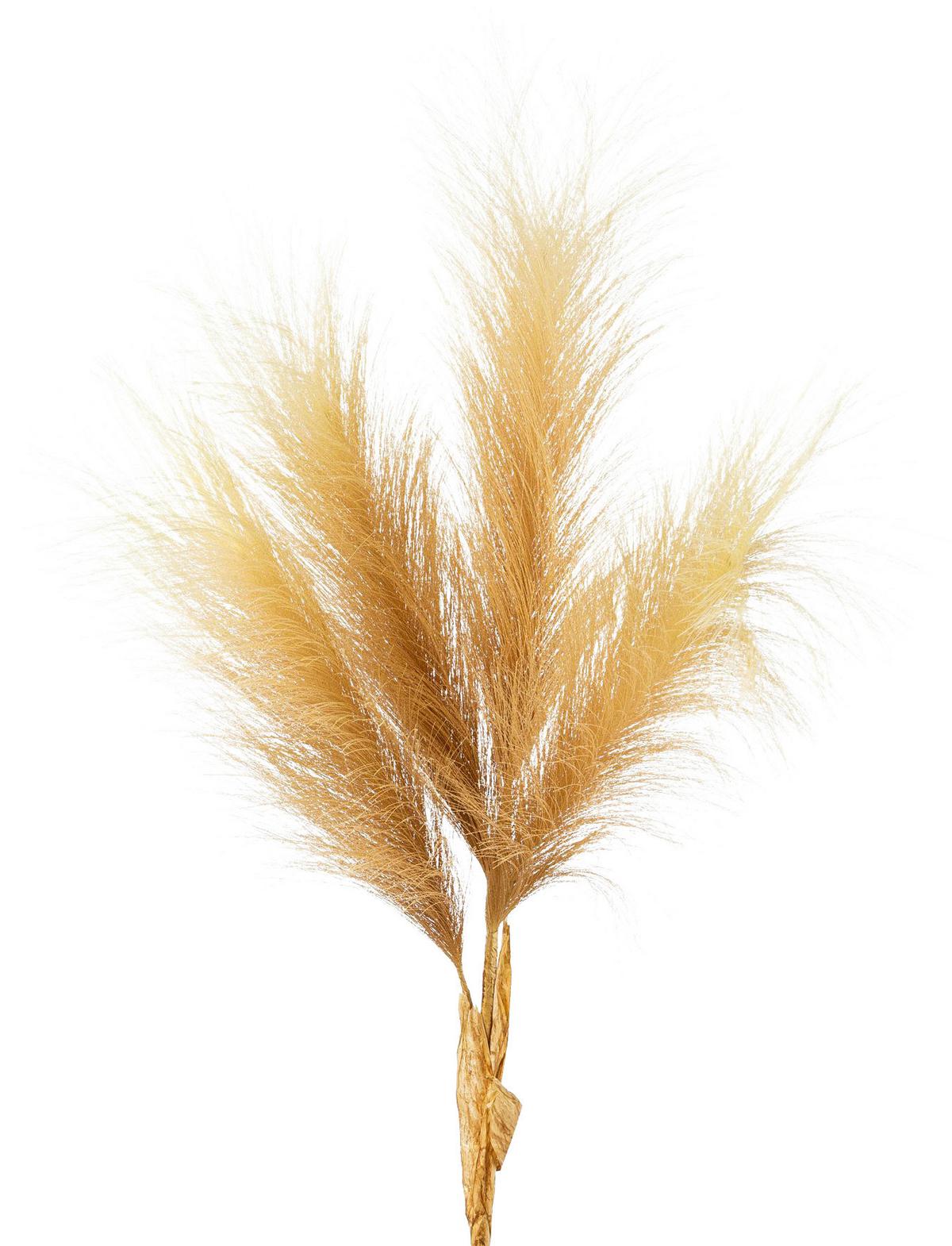 Umělá rostlina Pampová tráva, V: 107cm - přírodní barvy, Moderní, plast (107cm) - Modern Living