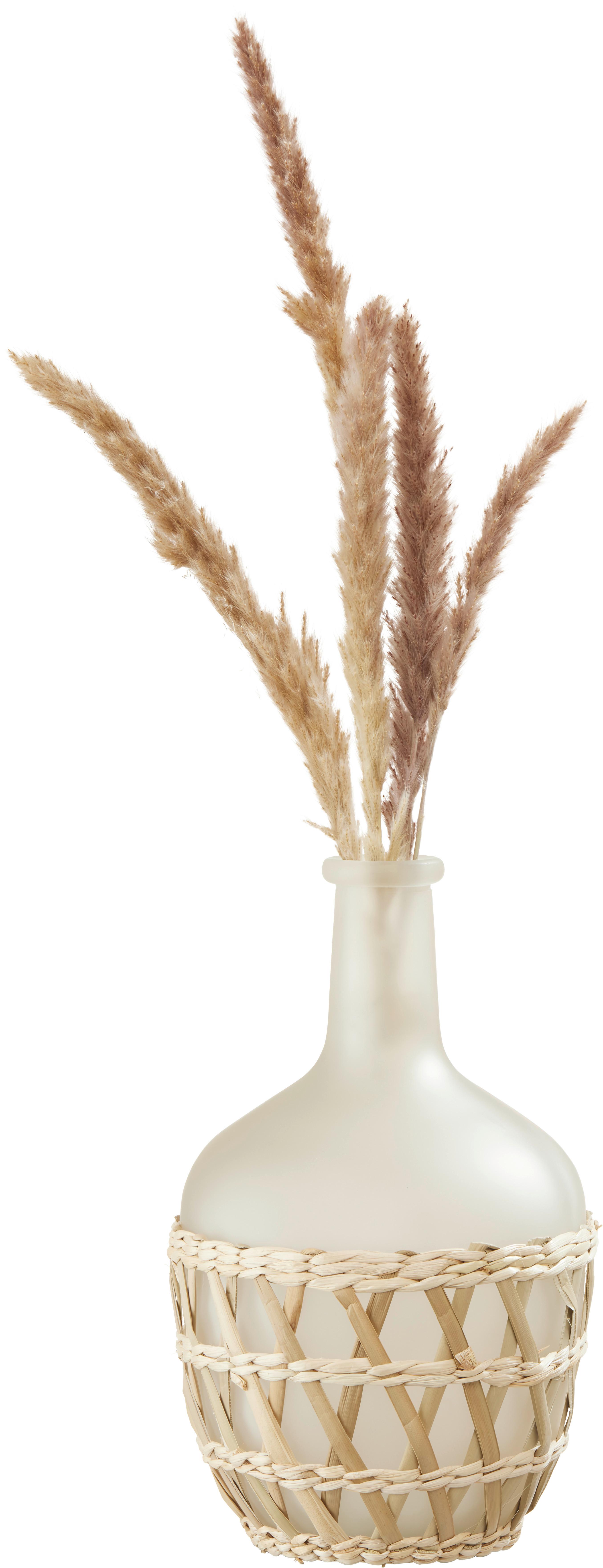 Váza Dust, V: 30cm - sivá/prírodná farba, prírodné materiály/sklo (20/30cm) - Modern Living