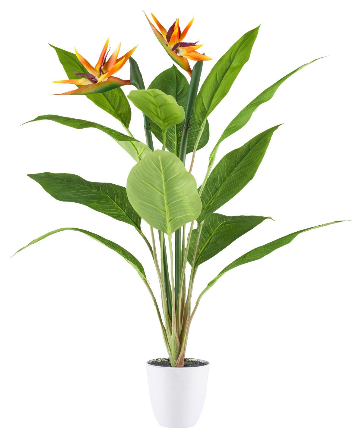 Kunstpflanze Strelitzie, Gelb, Lila, Orange, H: 80 Cm - Gelb/Lila, Design, Kunststoff (80cm) - P & B