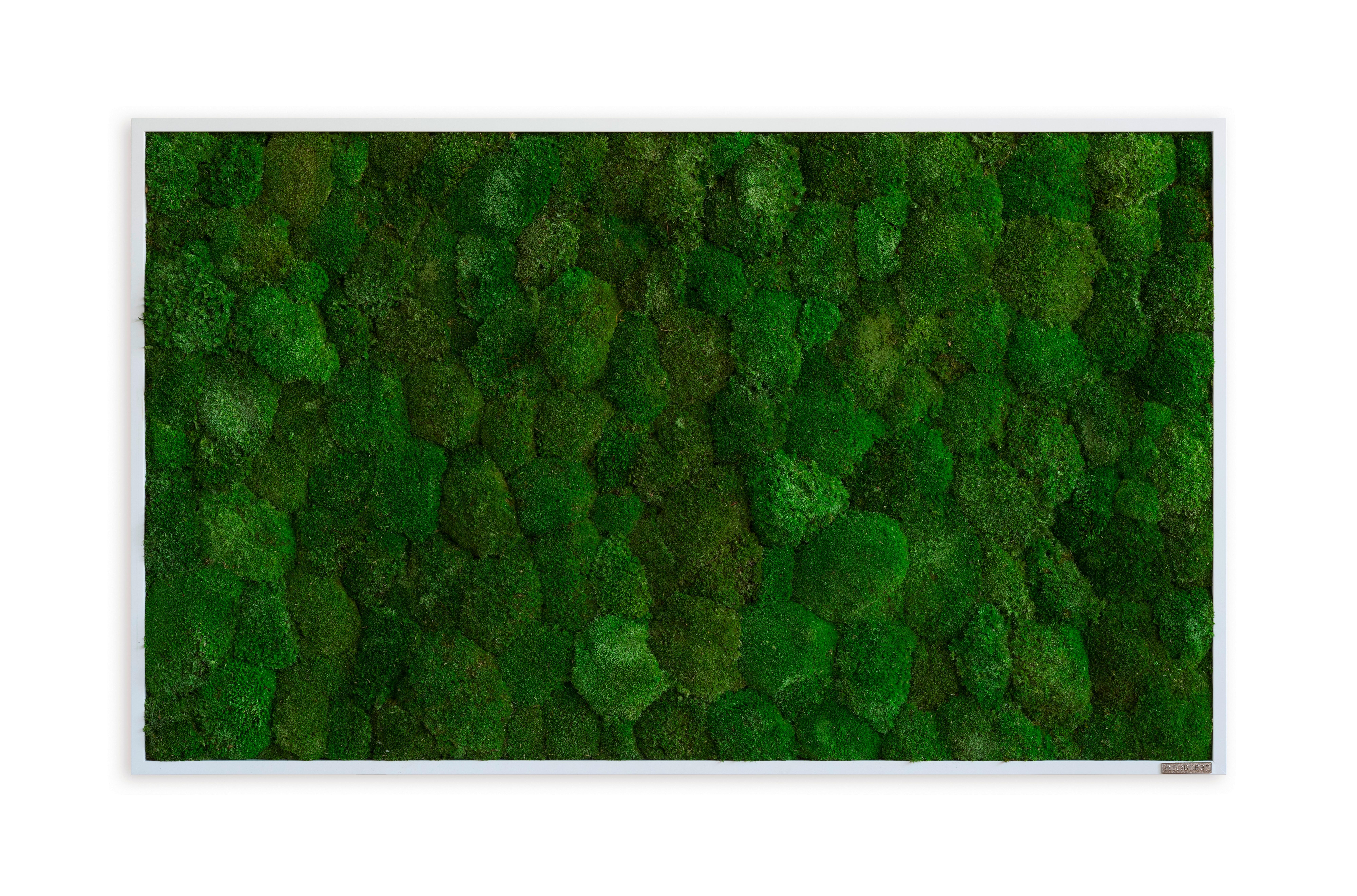 Moosbild Grün B: 100 cm - Weiß/Grün, Basics, Naturmaterialien/Holz (100/60/7cm)