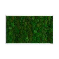 Moosbild Grün B: 100 cm - Weiß/Grün, Basics, Naturmaterialien/Holz (100/60/7cm)