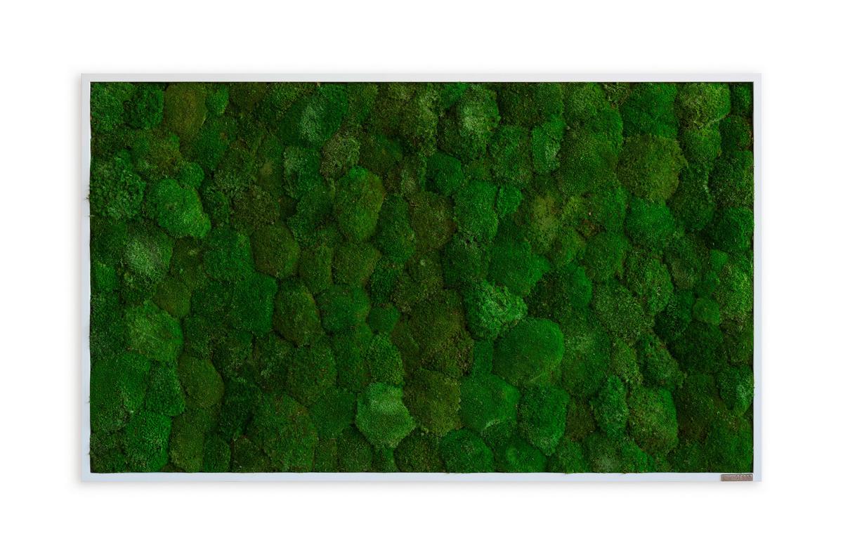 Moosbild Grün B: 100 cm - Weiß/Grün, Basics, Naturmaterialien/Holz (100/60/7cm)