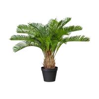 Kunstpflanze Palmen Grün/braun/schwarz, 60 Cm - Schwarz/Braun, Design, Kunststoff (60cm) - P & B