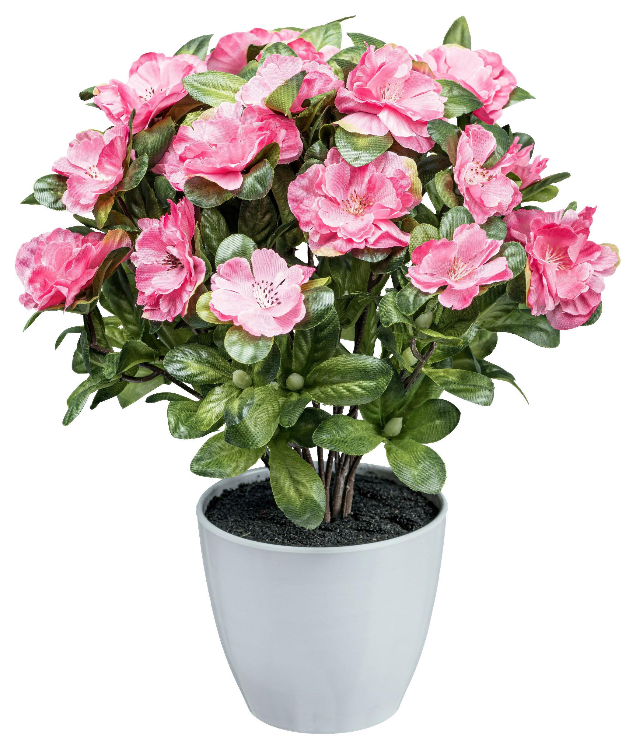 UMĚLÁ ROSTLINA AZALEENBUSCH I - bílá/tmavě růžová, Konvenční, plast (32cm) - Modern Living