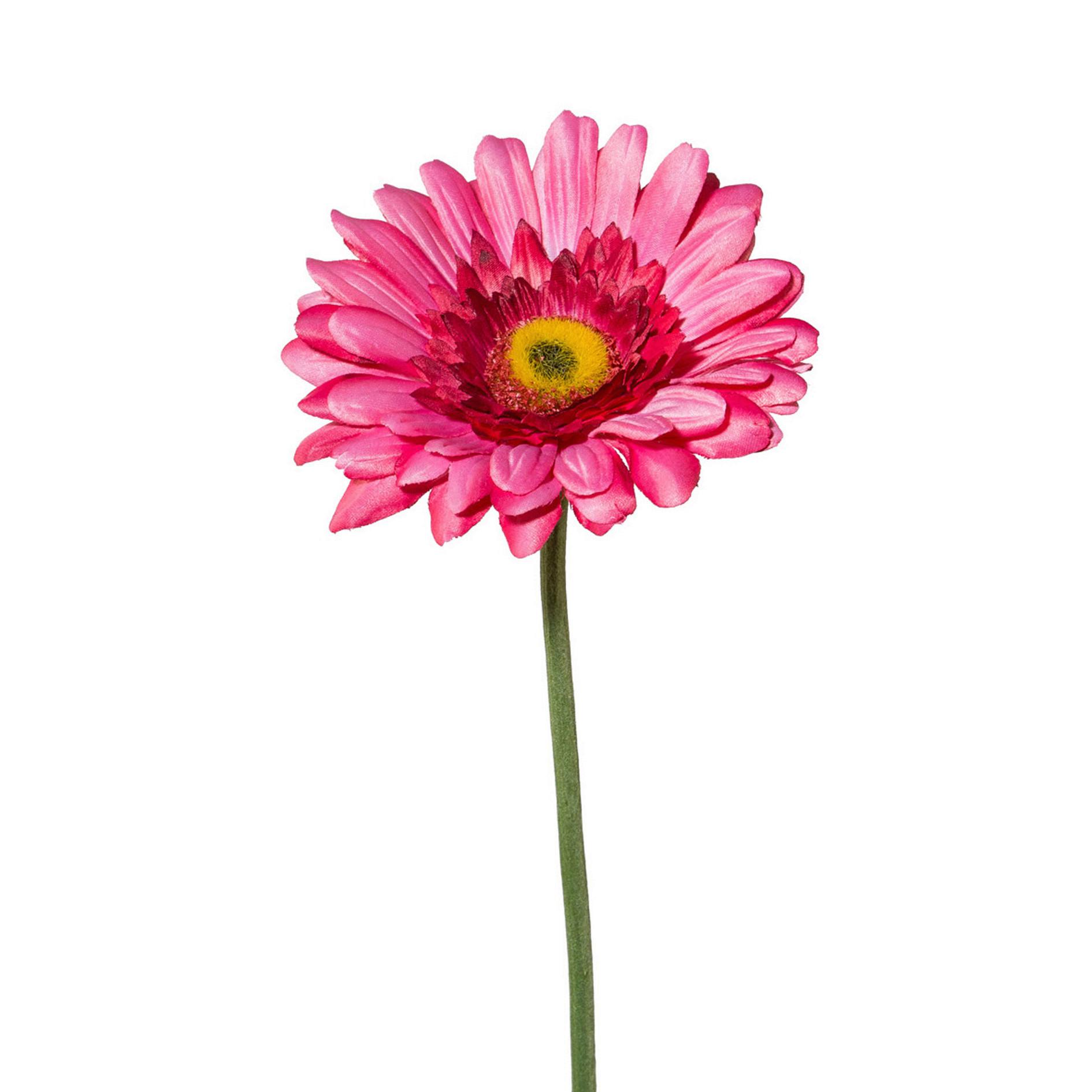 Kunstblume Gerbera Rosa L: ca. 63cm, Amra - Rosa/Grün, Natur, Kunststoff (63cm)