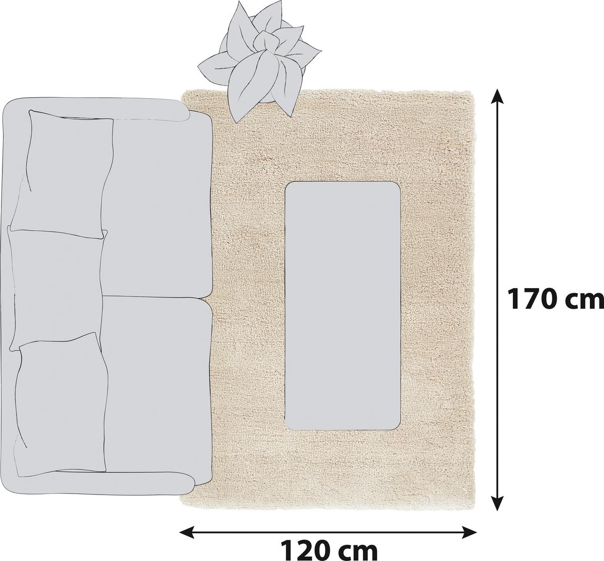 Hochflorteppich Beige Relaxx 120x170 cm - Beige, KONVENTIONELL, Textil (120/170cm) - Esprit