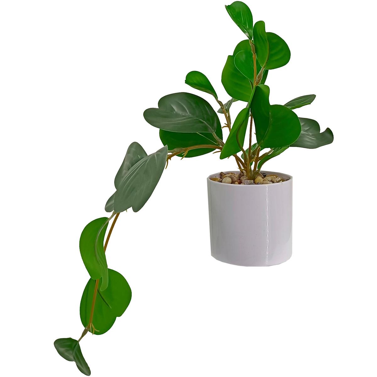 Műnövény Andi - fehér/zöld, Modern, műanyag (36/10/18cm) - Luca Bessoni