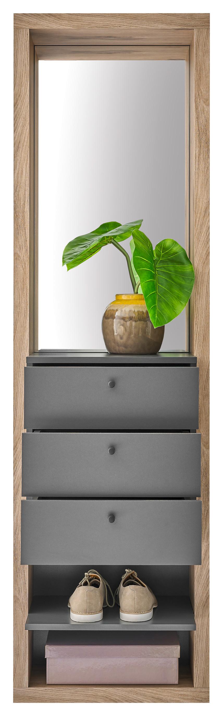 ŠATNA FRAME - barvy dubu/antracitová, Basics, kompozitní dřevo/sklo (51/178/35cm) - Carryhome
